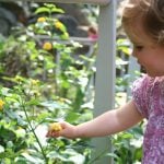 Child with yellow flower