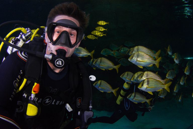 Scuba Diver in front of Porkfish