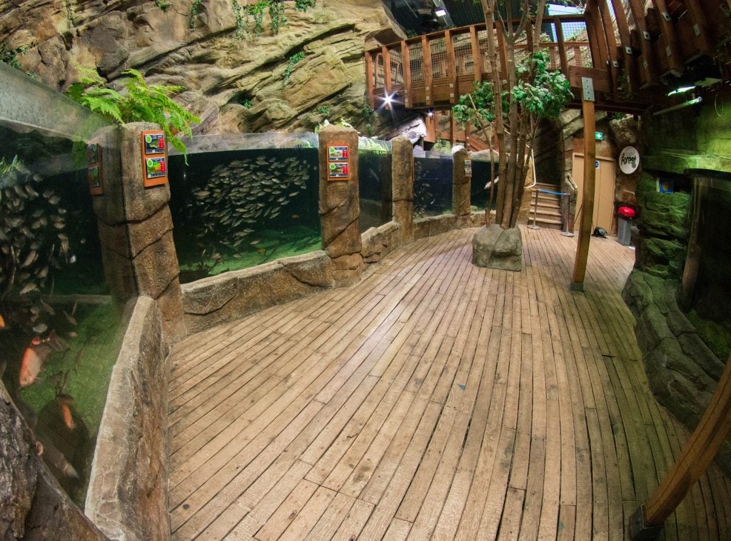 Northern Streams Exhibit