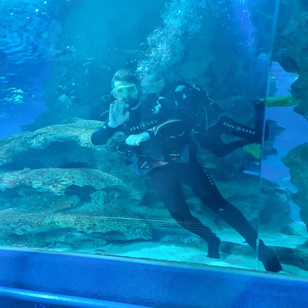 waving diver whilst diving with sharks