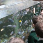 School trip infront of Lake Malawi exhibit